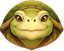 Tortoise